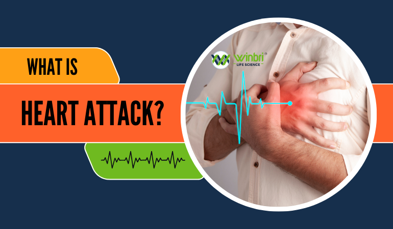 What is a Heart Attack? - Winbri Life Science