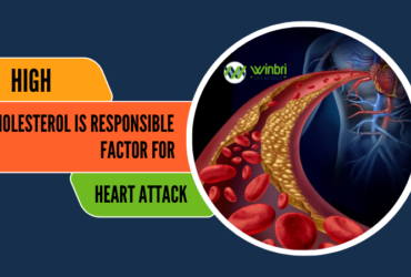 High cholesterol is responsible factor for Heart attack - Winbri Life Science